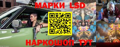 мдпв Нальчик