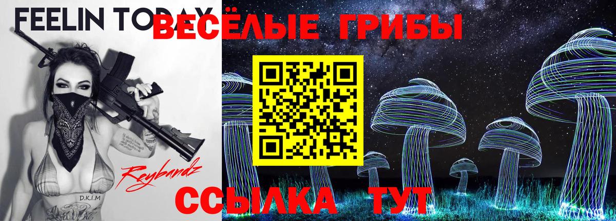 Галлюциногенные грибы Psilocybine cubensis Чапаевск
