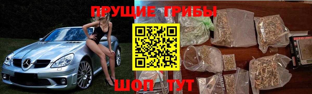 Псилоцибиновые грибы ЛСД  Галлюциногенные грибы мицелий  Вход с VPN  Чапаевск 